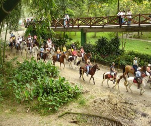 National Coffee Park. Source: Uff.Travel